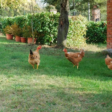 Bed & Breakfast Cascina Bricchetto Asti