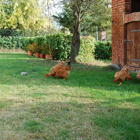 Cascina Bricchetto Panzió