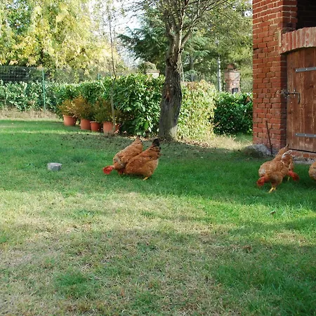 Bed & Breakfast Cascina Bricchetto 2*